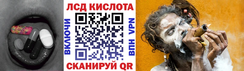 даркнет сайт  Новодвинск  MEGA tor  ЛСД экстази кислота 